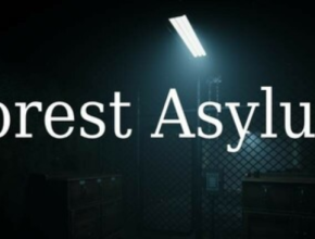 FOREST ASYLUM PC Game