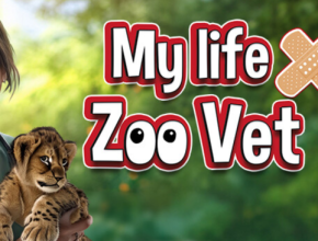 MY LIFE ZOO VET PC Game