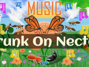 NATURE AND LIFE - DRUNK ON NECTAR PC Game